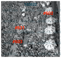 3710 copia.jpg