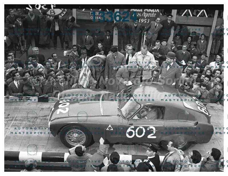 4302.jpg