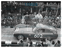 4302.jpg