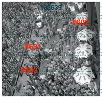3710 copia.jpg