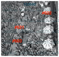 3710 copia.jpg