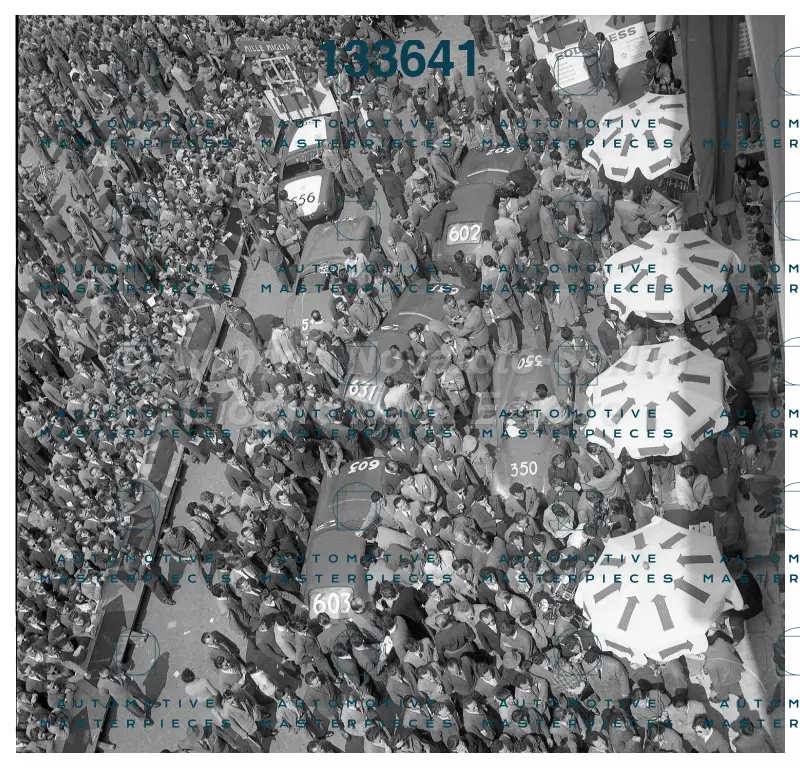 3710.jpg