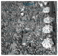 3710.jpg