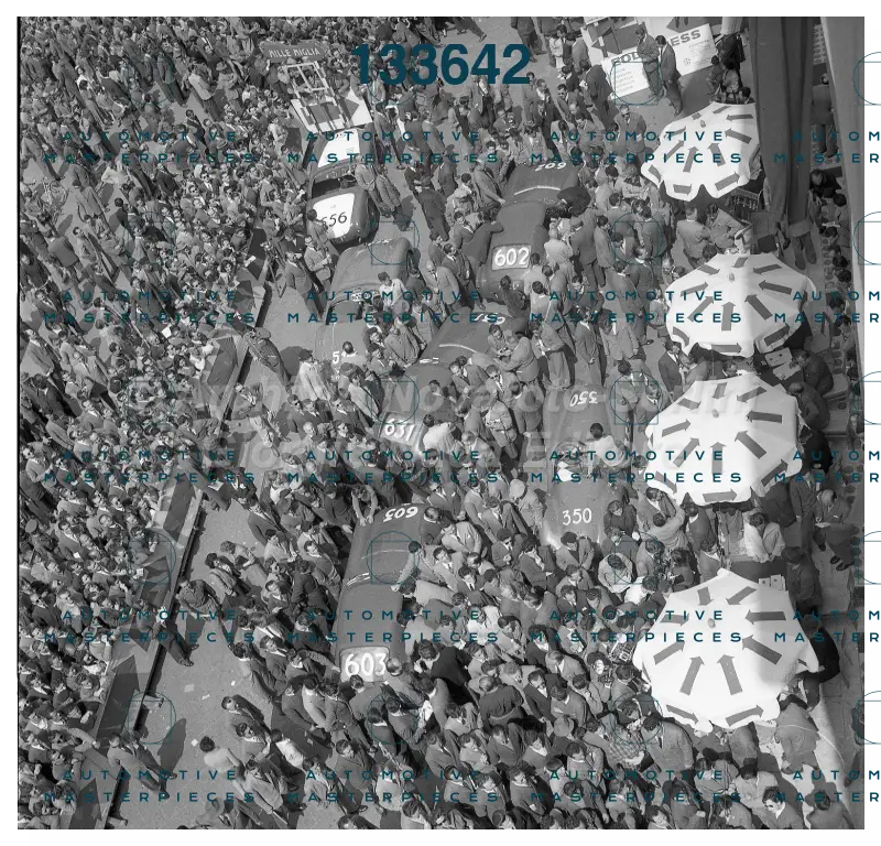 3710.jpg