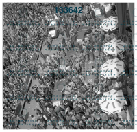 3710.jpg
