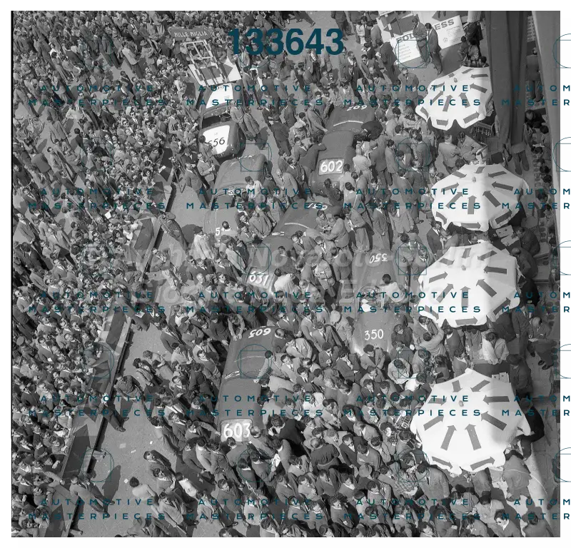3710.jpg