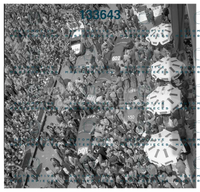 3710.jpg