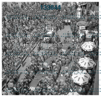 3709.jpg