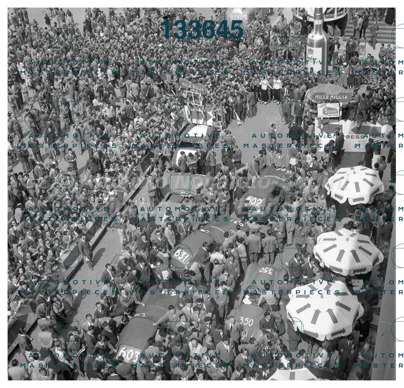 3709.jpg