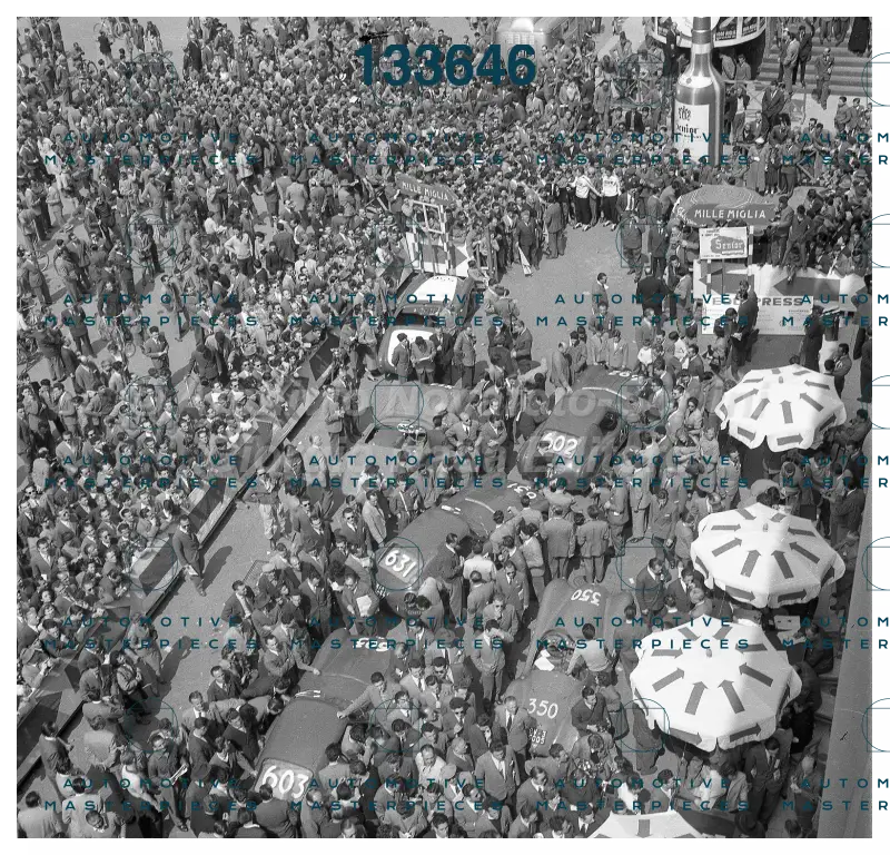 3709.jpg