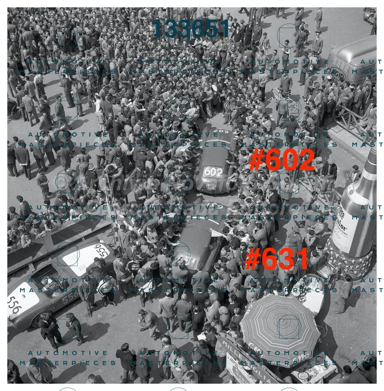 3673 copia 2.jpg