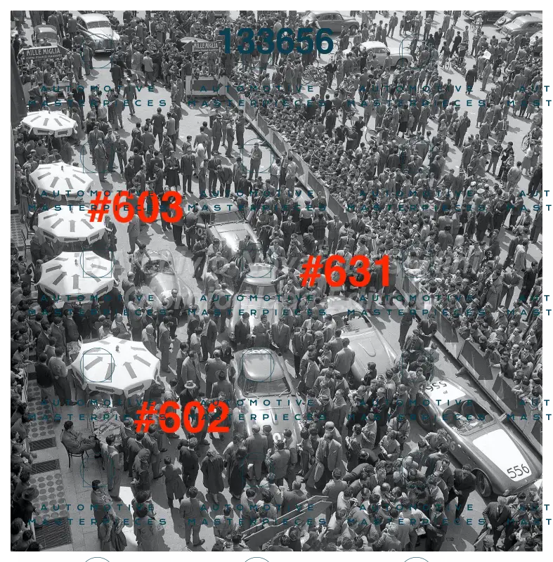 3670 copia 2.jpg
