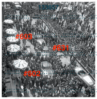 3670 copia 2.jpg