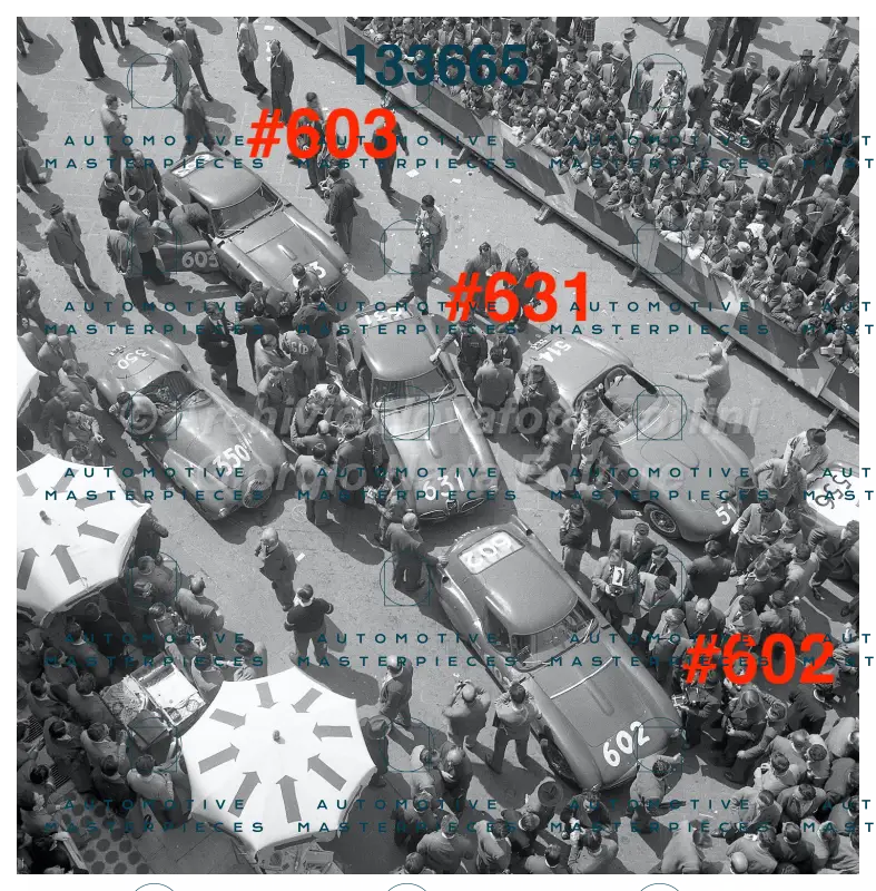 3669 copia 2.jpg