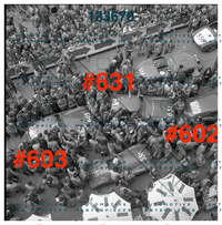 3708 copia.png