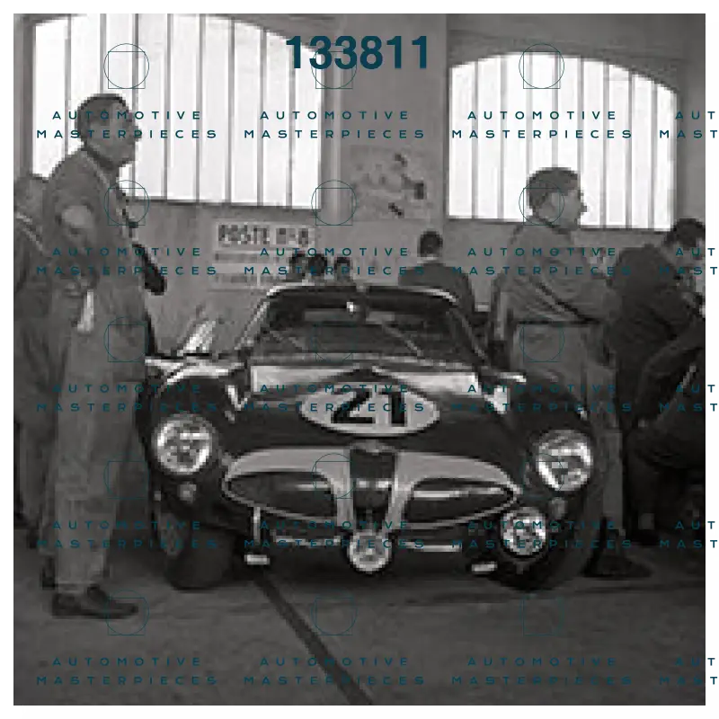 BW23846MCNG_alfaromeo.jpg
