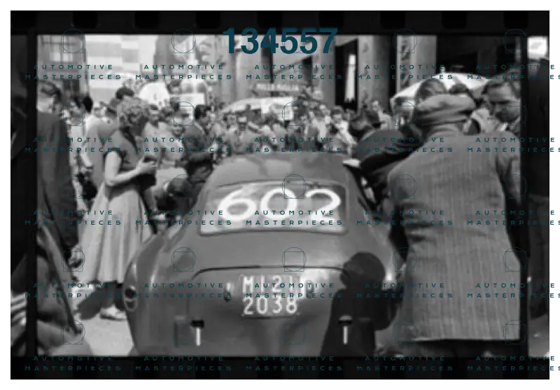 2Zagari #602_.jpeg