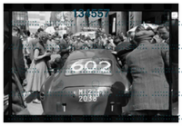 2Zagari #602_.jpeg
