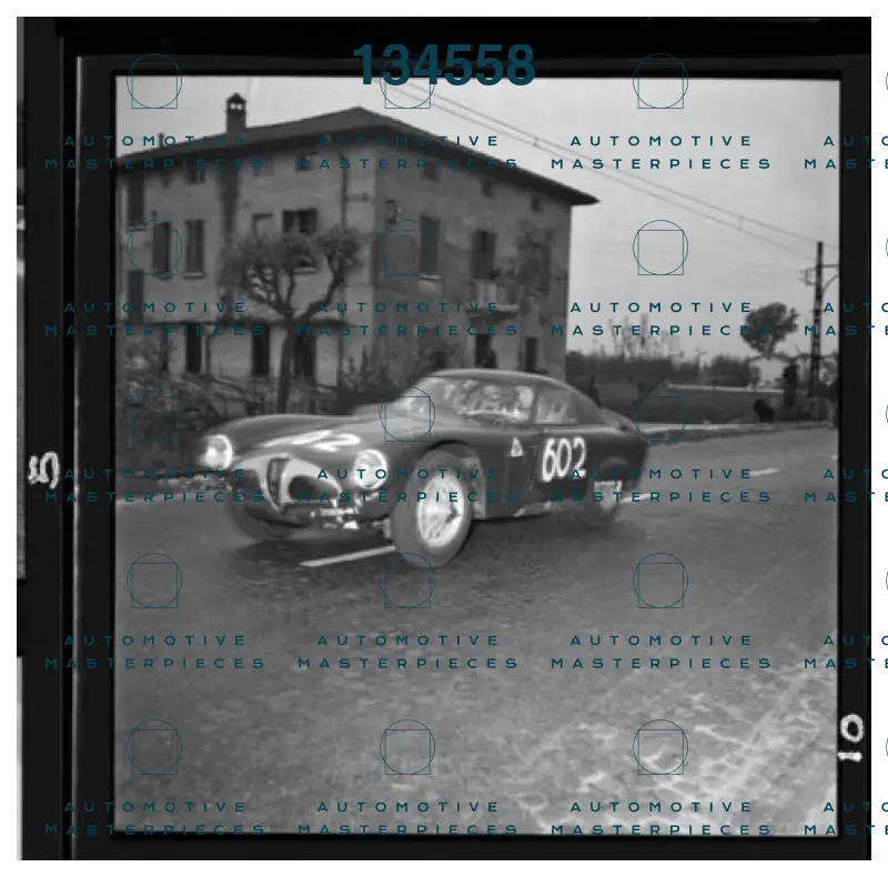 3Zagari #602_.jpeg