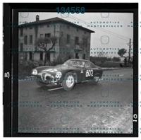 3Zagari #602_.jpeg