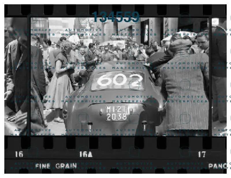 4Zagari #602_.jpeg