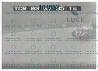 TCR 03.07.35.16.png