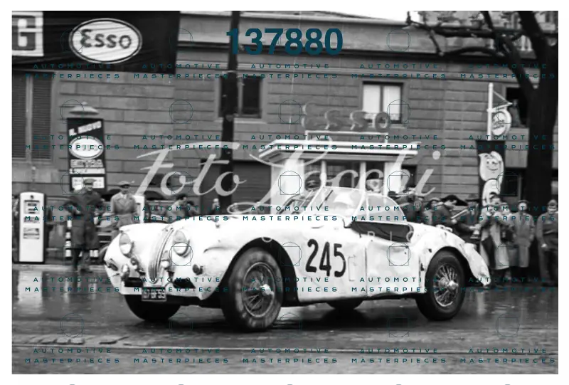 1956_14546.png