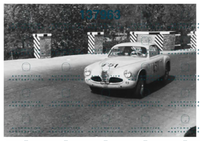 negri 05322.png