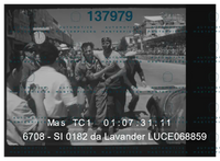 Mas TC1 01-07-31-11_6708-SI0182 da Lavander LUCE068859.png