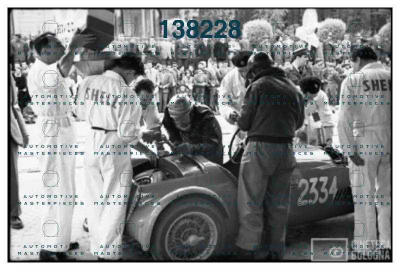CINETECA BOLOGNA - 65.png