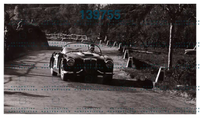 1960 Targa del busento POSSIBILE ACTUALFOTO.jpeg
