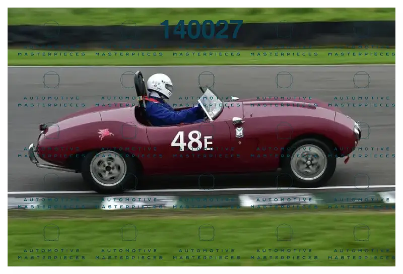 cm35-4710-ivo-noteboom-arnolt-bristol-bolide-38747127.jpg
