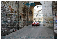 DRPHOTO_14.jpg