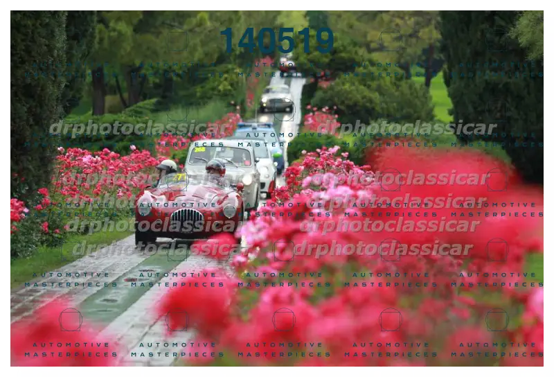 DRPHOTO_10.jpg