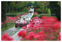 DRPHOTO_10.jpg