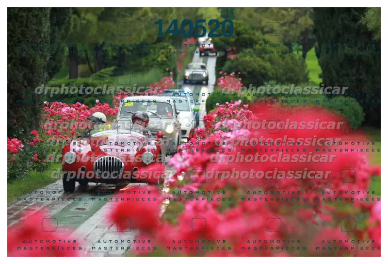 DRPHOTO_11.jpg
