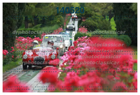 DRPHOTO_11.jpg