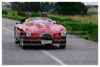 DRPHOTO_6.jpg
