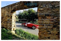 DRPHOTO_6.jpg