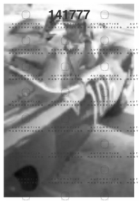 McKlein 580511Targa Musso-0073po.png