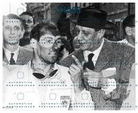 Schermata 2019-10-09 alle 15.51.46.png