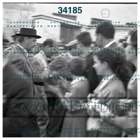 5111.jpg