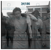 5112.jpg