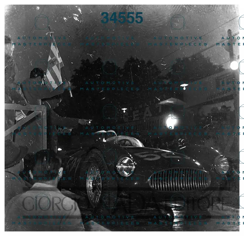 6531.jpg