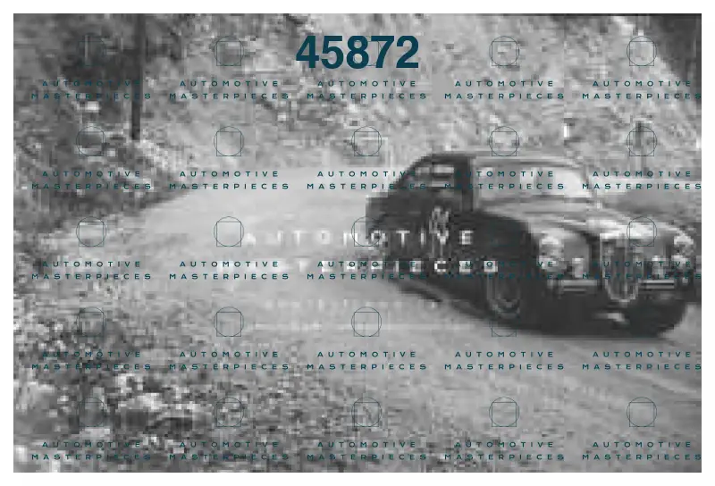 report.jpg