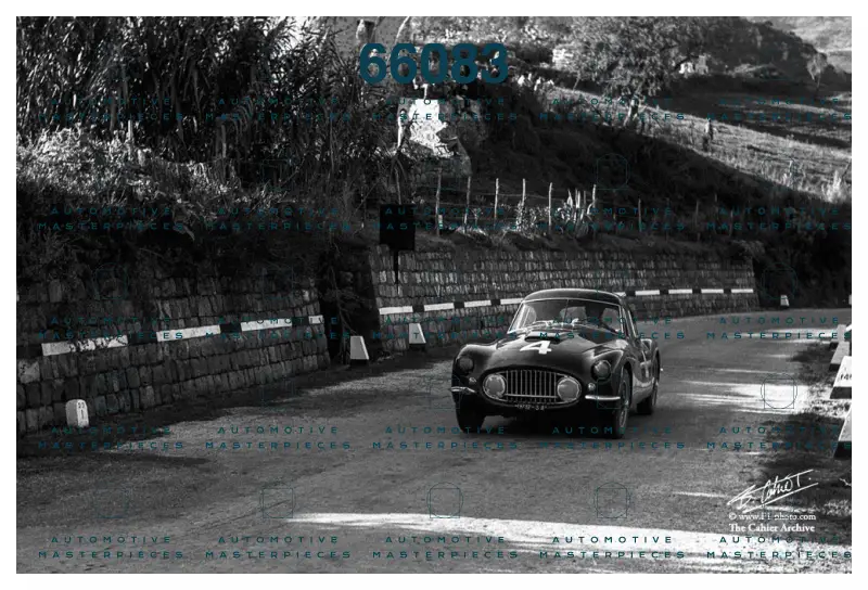 DeSarzana_55_Targa_01.jpg