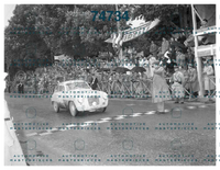3484.jpg