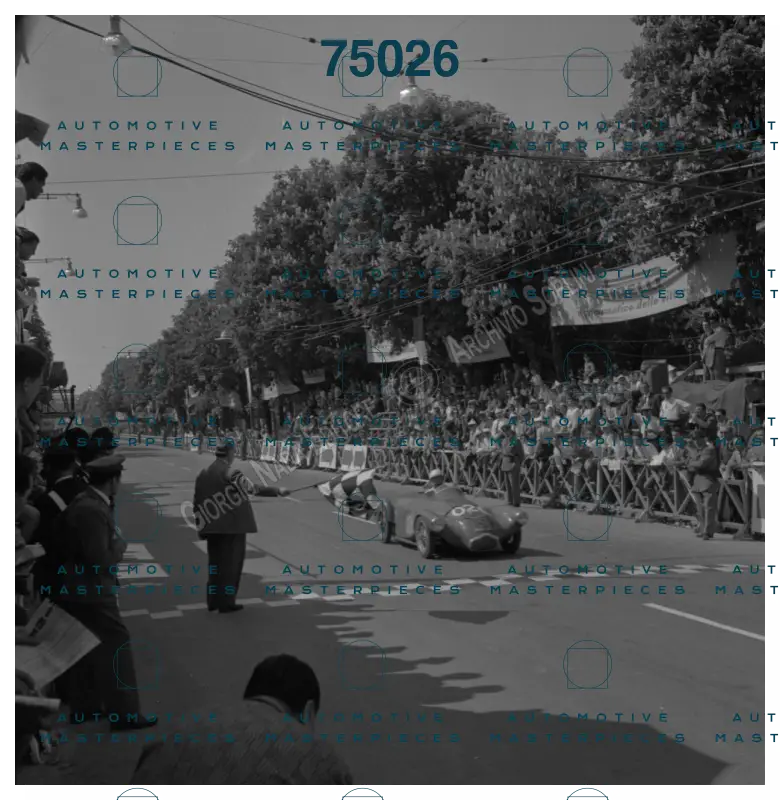 5226.jpg