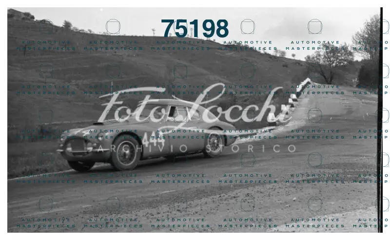 Locchi_1953_IGFSVNA3-92#444.jpg