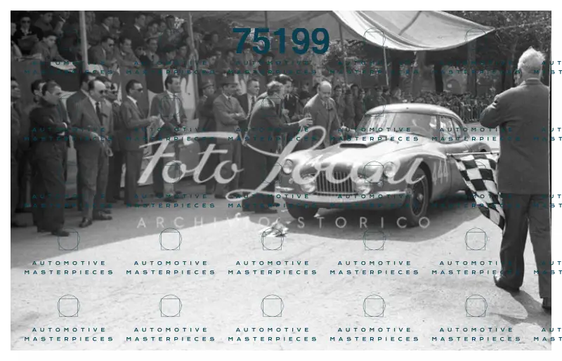 Locchi_1953_IGFSVNA4-67#444.jpg